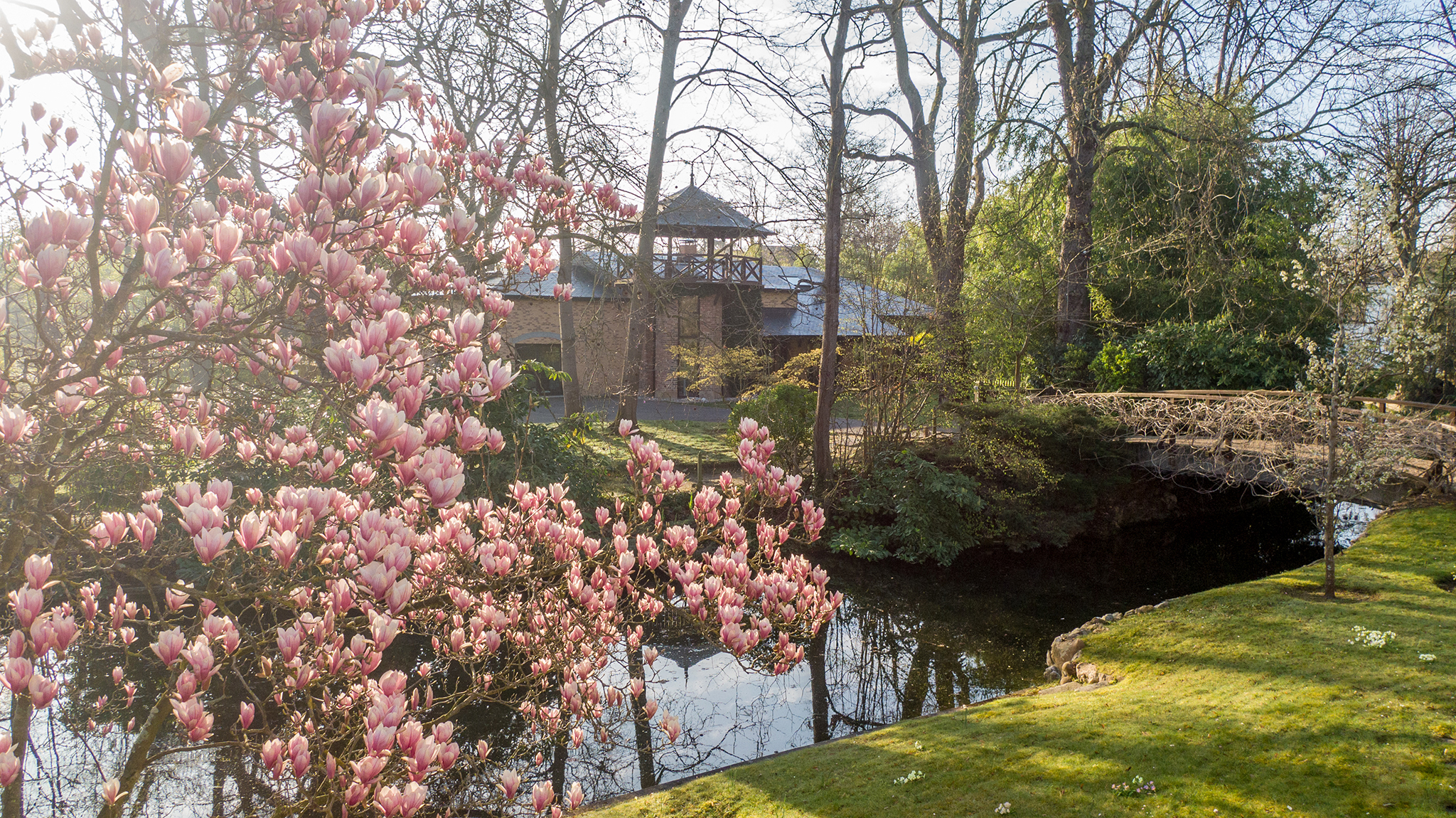 AGENCE IMMOBILIERE LES CERCLES ILE PRIVEE LE VESINET 017