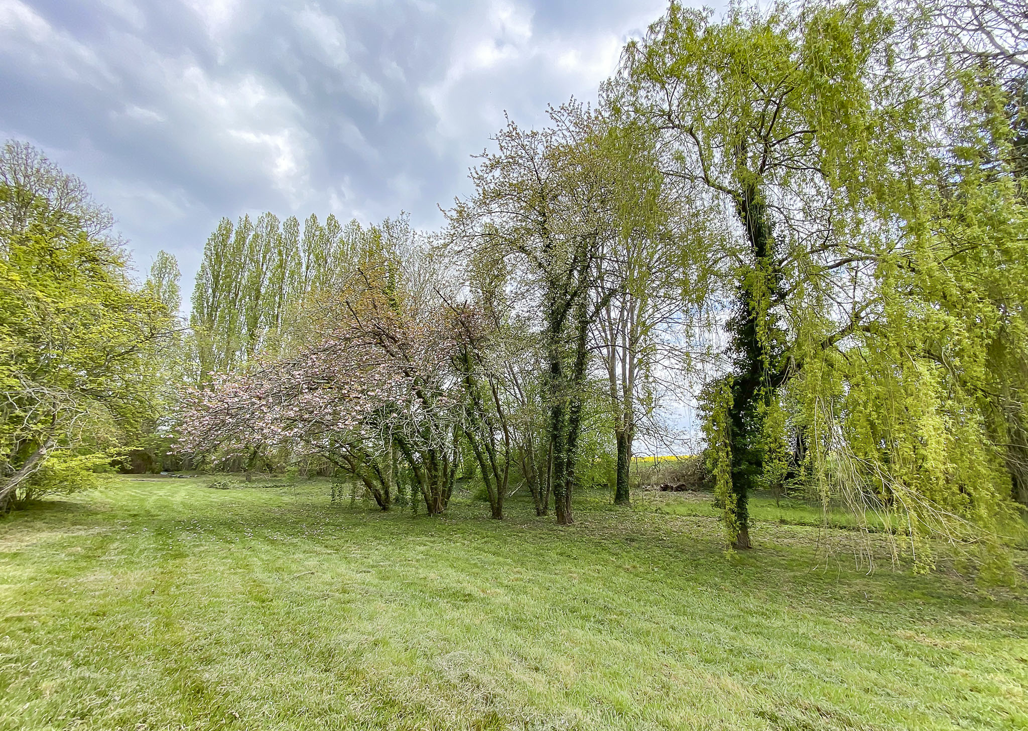 La Hacienda maison agence immobiliere les cercles le vesinet 4